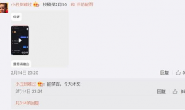网红吃瓜塌房,揭秘网络红人背后的真相与反思