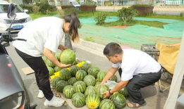 黑落吃瓜网,网络舆论场中的新势力崛起