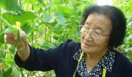 官家娘子吃瓜人网盘,揭秘网盘中的神秘世界