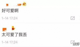 深圳微信吃瓜爆料圈,揭秘城市热点背后的故事与真相