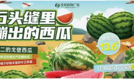 网传火热吃瓜,揭秘背后故事与趣味瞬间