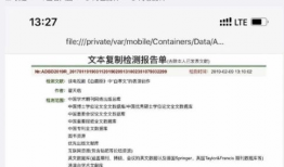 知网吃瓜论文怎么写,基于知网“吃瓜论文”的写作方法与技巧解析
