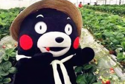 网红熊吃瓜视频原版,揭秘娱乐圈幕后真相