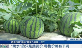 上海网红吃瓜视频,揭秘都市生活背后的八卦风云